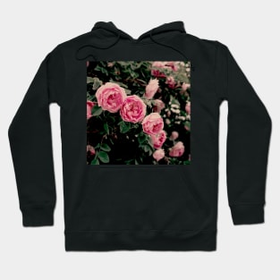 Dreamy roses Hoodie